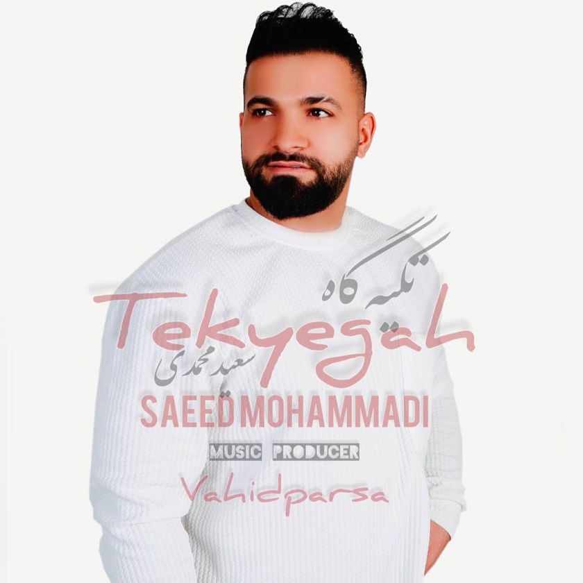 سعید محمدی - تکیه گاه
